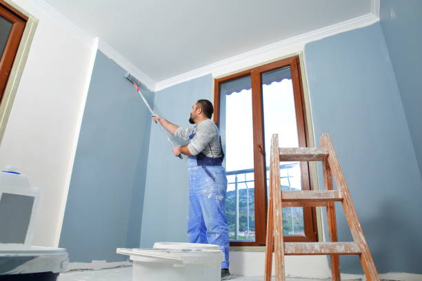 Best Drywall Removal and Disposal  in Rineyville, KY