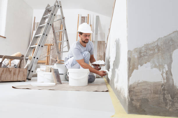 Best Drywall Texturing  in Rineyville, KY