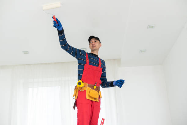  Rineyville, KY Dry wall and painting Pros